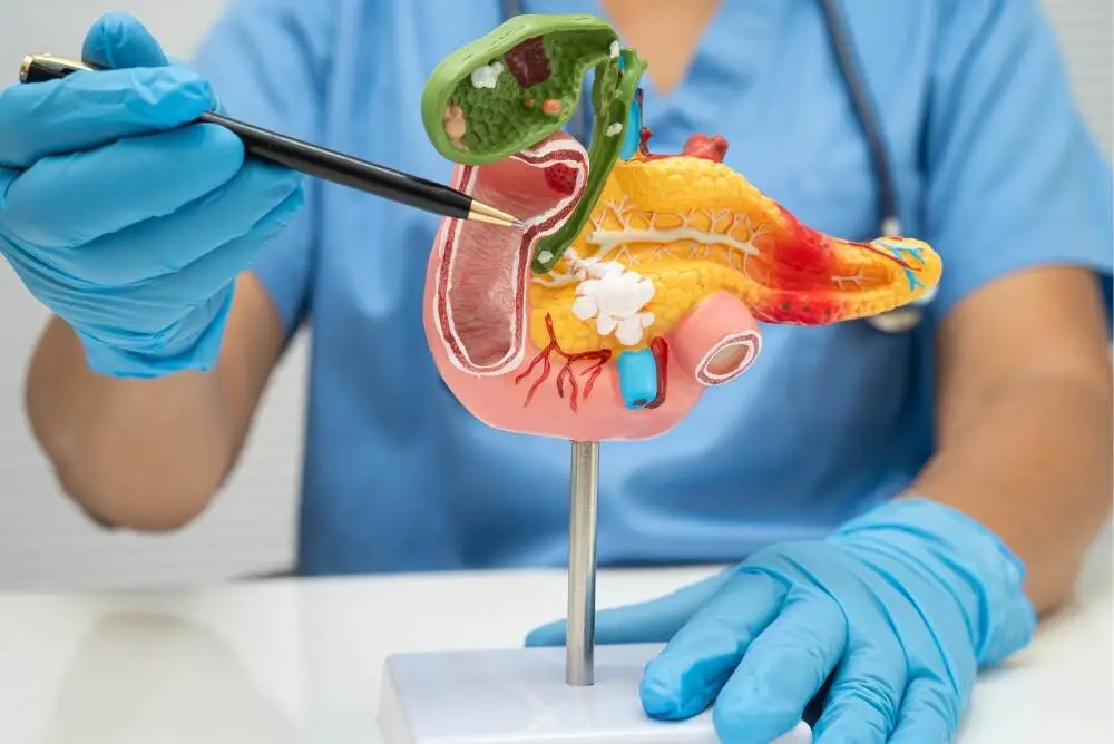 Liver Cancer Treatment Cost Details